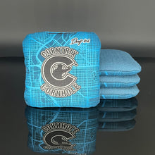 Load image into Gallery viewer, Corntrix Cornhole - “Wild” Drop Ins - Hybrid Carpet Bag - 4.5/8.5 Speeds