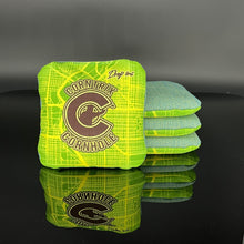 Load image into Gallery viewer, Corntrix Cornhole - “Wild” Drop Ins - Hybrid Carpet Bag - 4.5/8.5 Speeds