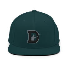 Load image into Gallery viewer, DoCo Snapback Hat